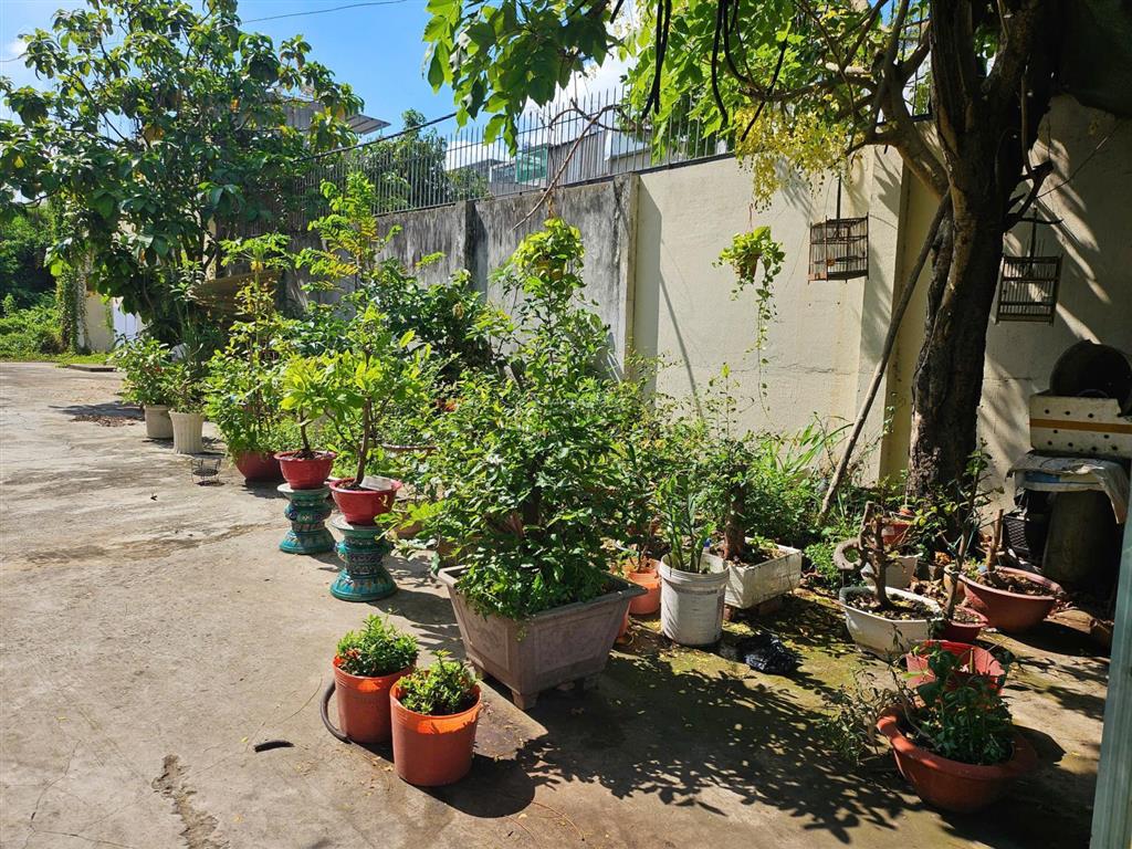 Công ty đấu giá hợp danh minh pháp đấu giá qsdđ tại 184/6 lê đình cẩn, tân tạo, tp.hcm