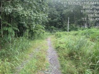 Quyền sử dụng đất thuộc thửa đất số 1043, tờ bản đồ số 44, khu phố 3, xã tân khai, tỉnh đồng nai