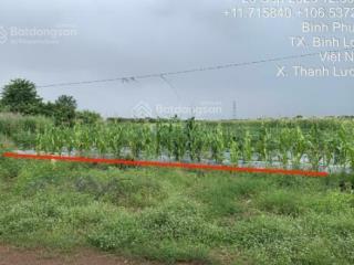 Quyền sử dụng đất thuộc thửa đất số 10, tbđ số 592018 ấp thanh an, phường an lộc, tỉnh đồng nai