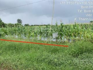 Quyền sử dụng đất thuộc thửa đất số 9, tbđ số 59  2018 ấp thanh an, phường an lộc, tỉnh đồng nai