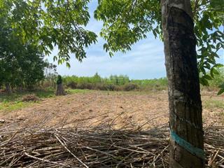 Qsdđ thuộc thửa đất số 79, tờ bản đồ số 44 tại xã hòa bình, huyện xuyên mộc, tỉnh bà rịa vũng tàu