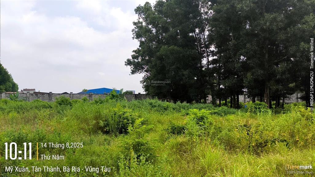 Tài sản tại thửa đất số 21, tbđ số 75 tại p. mỹ xuân, tx. phú mỹ, br  vt (phường phú mỹ, tp. hcm)