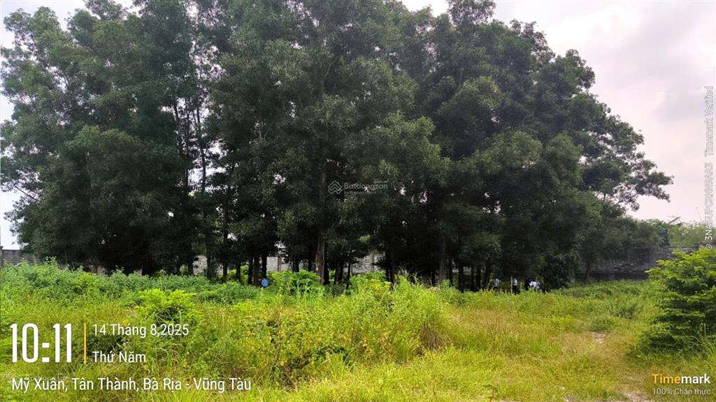 Tài sản tại thửa đất số 21, tbđ số 75 tại p. mỹ xuân, tx. phú mỹ, br  vt (phường phú mỹ, tp. hcm)