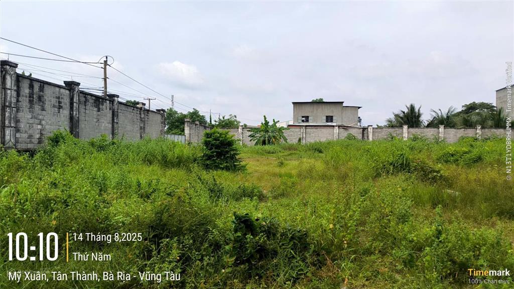 Tài sản tại thửa đất số 21, tbđ số 75 tại p. mỹ xuân, tx. phú mỹ, br  vt (phường phú mỹ, tp. hcm)