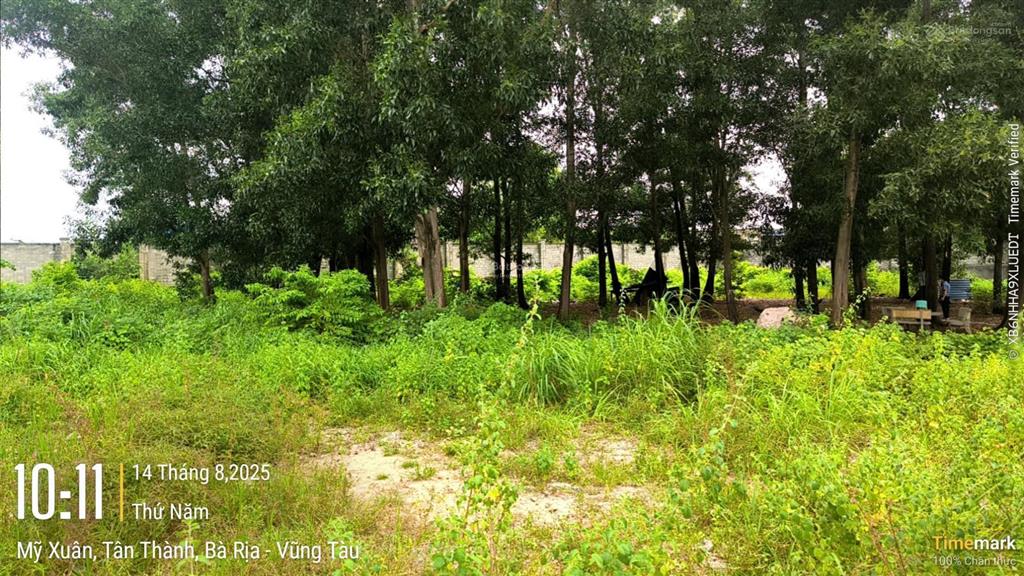 Tài sản tại thửa đất số 21, tbđ số 75 tại p. mỹ xuân, tx. phú mỹ, br  vt (phường phú mỹ, tp. hcm)