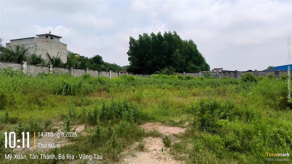 Tài sản tại thửa đất số 21, tbđ số 75 tại p. mỹ xuân, tx. phú mỹ, br  vt (phường phú mỹ, tp. hcm)