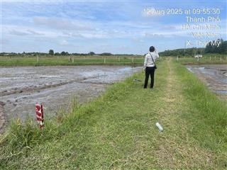 Đấu giá quyền sử dụng đất thửa 86, tbđ 9 tại thái mỹ, thành phố hồ chí minh