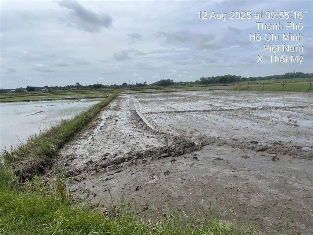 Công ty đấu giá hợp danh minh pháp đấu giá qsdđ thửa 86, tbđ9, xã thái mỹ, tp. hcm