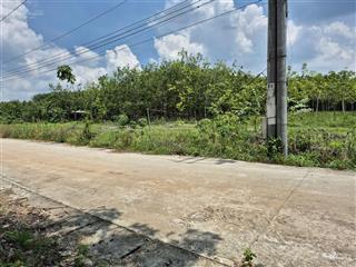 Qsdđ thuộc thửa đất số 303, tbđ số 16, phường tân uyên, thành phố hồ chí minh