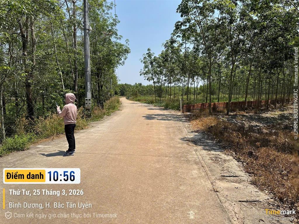 Qsdđ thuộc thửa đất số 303, tbđ số 16, phường tân uyên, thành phố hồ chí minh