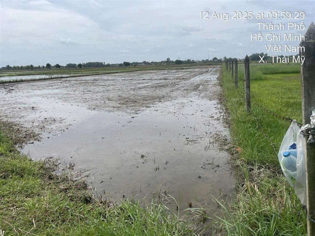 Công ty đấu giá hợp danh minh pháp thông báo đấu giá thửa đất 86, tbđ 9, thái mỹ, tp. hcm