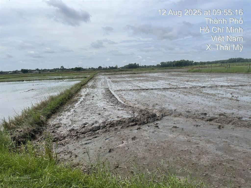 Công ty đấu giá hợp danh minh pháp thông báo đấu giá thửa đất 86, tbđ 9, thái mỹ, tp. hcm