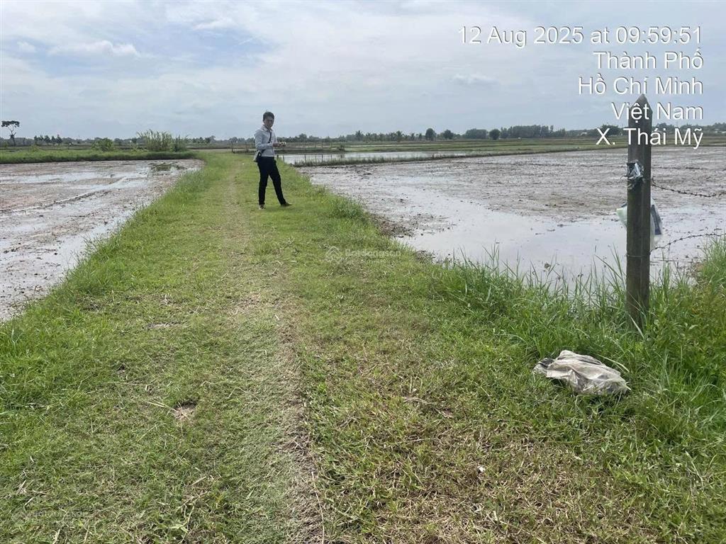 Công ty đấu giá hợp danh minh pháp thông báo đấu giá thửa đất 86, tbđ 9, thái mỹ, tp. hcm