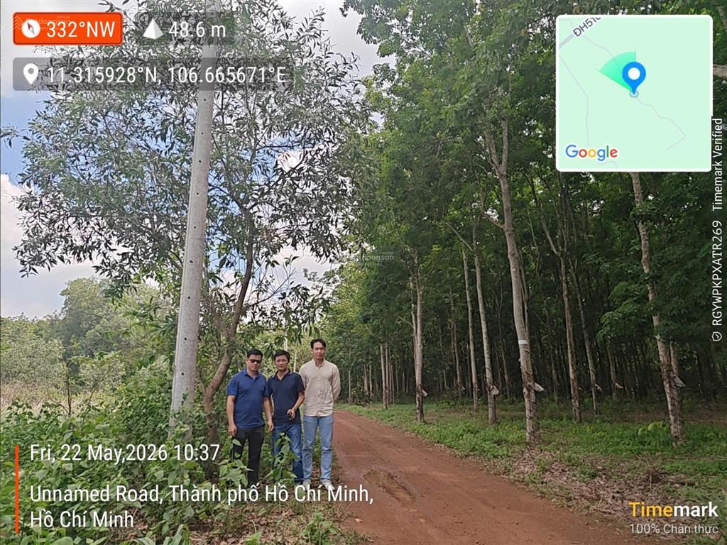 Đấu giá tài sản tại tờ bản đồ số 11, xã bàu bàng, thành phố hồ chí minh