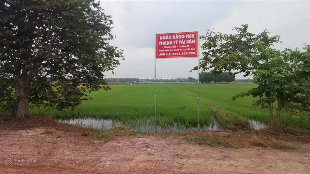 Qsdđ thuộc thửa đất số 604, tờ bản đồ số 29 xã an nhơn tây, thành phố hồ chí minh