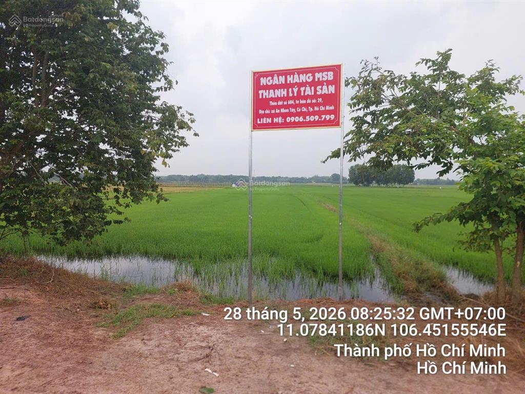 Qsdđ thuộc thửa đất số 604, tờ bản đồ số 29 xã an nhơn tây, thành phố hồ chí minh