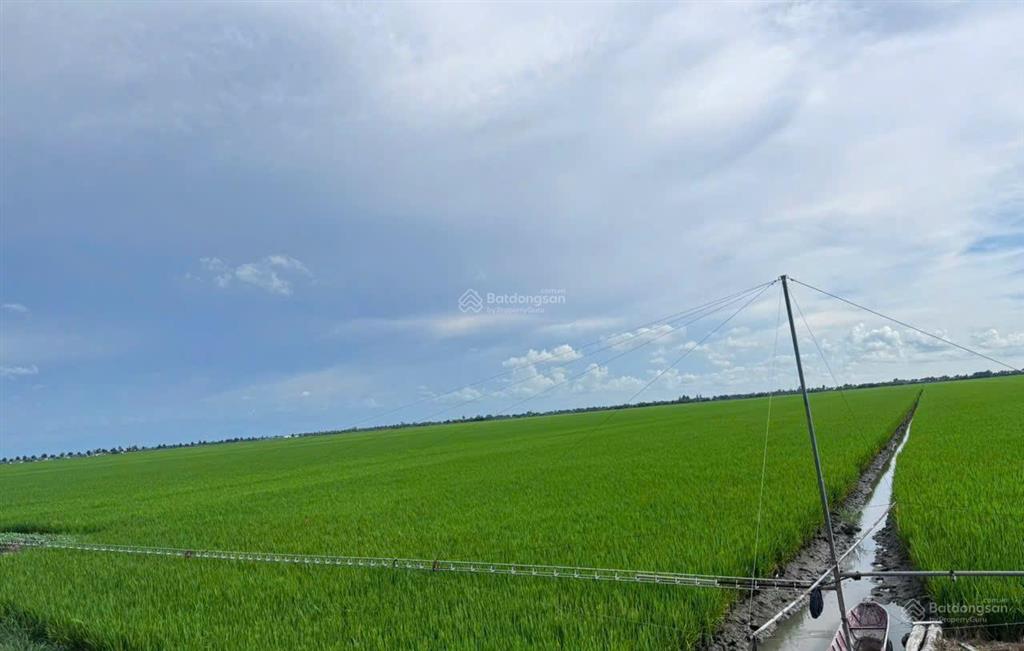 Qsdđ thuộc thửa đất số 604, tờ bản đồ số 29 xã an nhơn tây, thành phố hồ chí minh