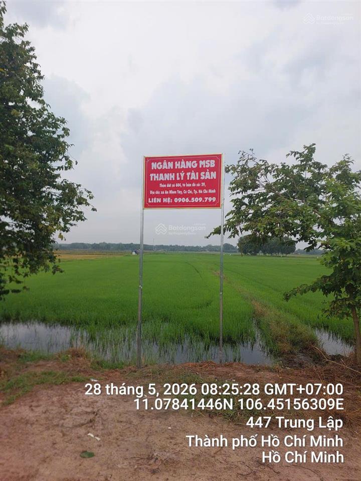 Qsdđ thuộc thửa đất số 604, tờ bản đồ số 29 xã an nhơn tây, thành phố hồ chí minh