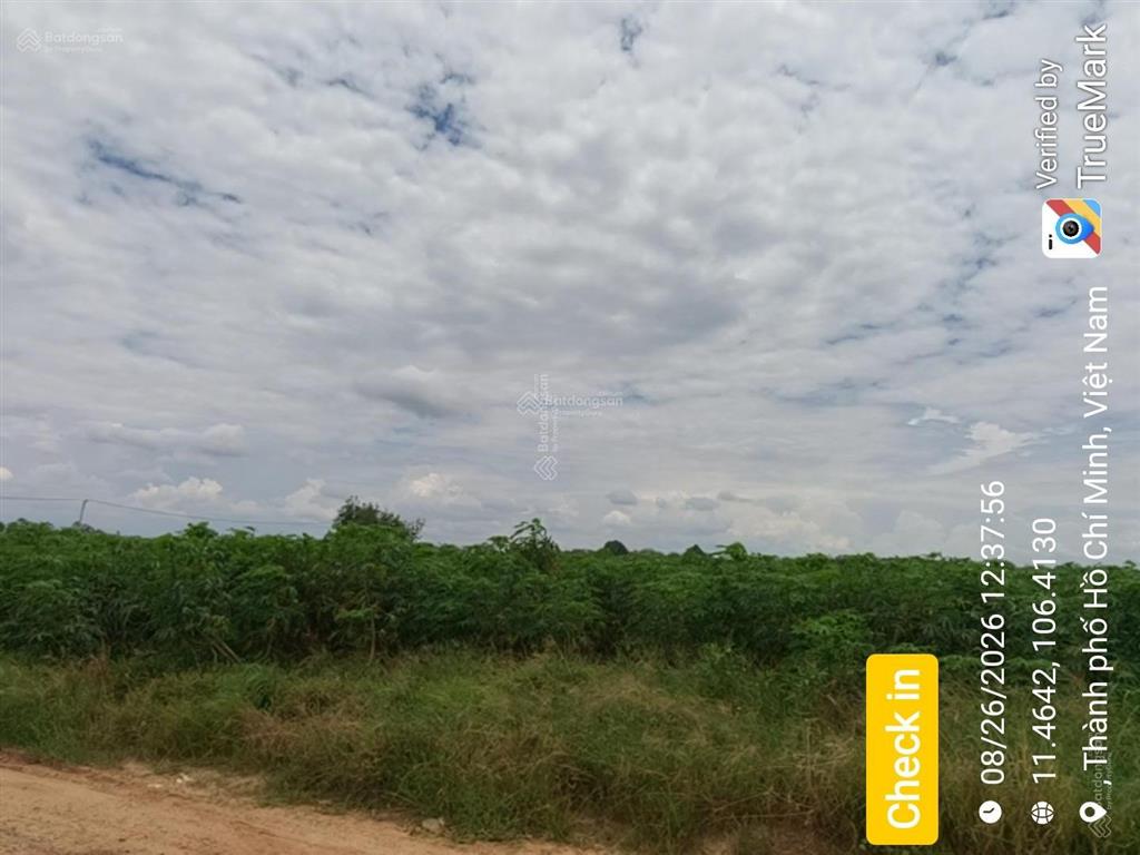 Đấu giá tài sản tại xã minh thạnh, thành phố hồ chí minh