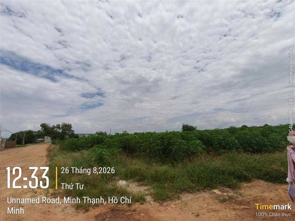 Đấu giá tài sản tại xã minh thạnh, thành phố hồ chí minh