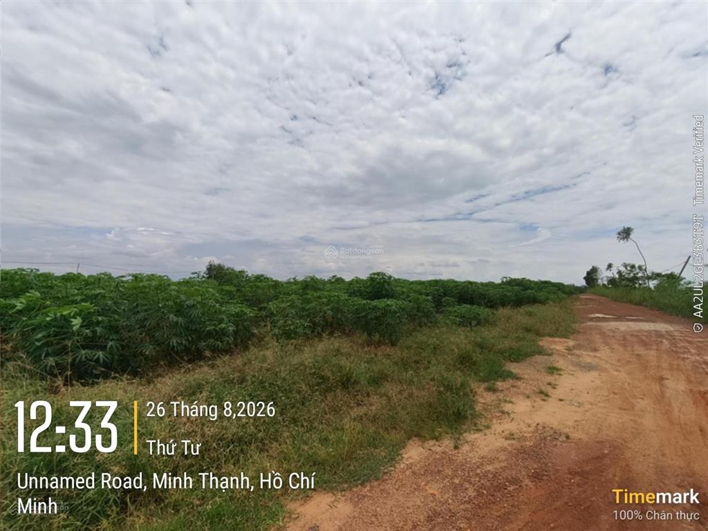 Đấu giá tài sản tại xã minh thạnh, thành phố hồ chí minh