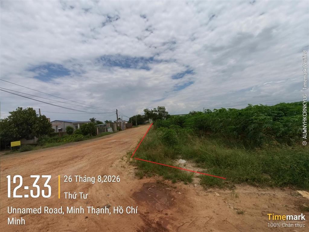Đấu giá tài sản tại xã minh thạnh, thành phố hồ chí minh