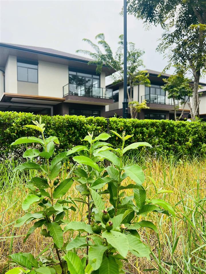 Bán biệt thự đơn lập khu compound ck lên đến 30%  giá chỉ 15,1 tỷ nhận nhà ngay  0914 922 ***