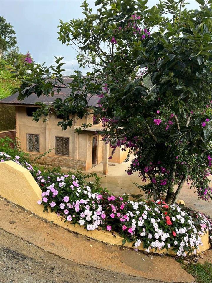 Bán Đất Du Lịch Homstay 