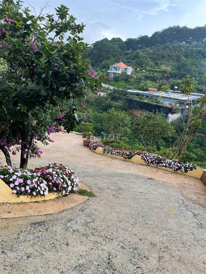 Bán Đất Du Lịch Homstay 