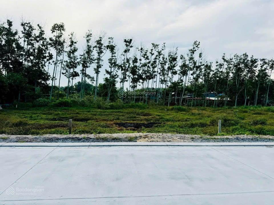 Chủ gửi bán nhanh lô đất mt cao thị đậu xã phú mỹ hưng củ chi