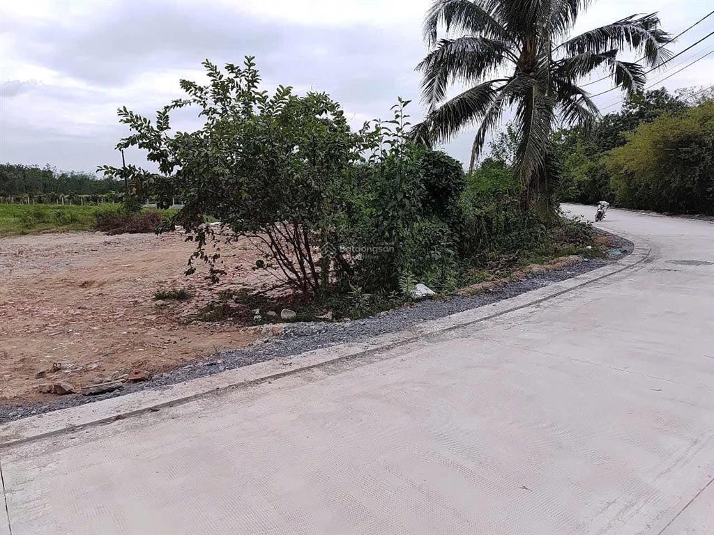 Cần bán đất mặt tiền cao thị đậu, phú mỹ hưng, củ chi