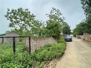 Chính chủ  bán 1450m đất thôn 7  vai réo  phú cát  chỉ 6tr/m