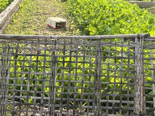 Mặt tiền 5,2m, diện tích 58m2 bán đất đông tảo giá 1,8 tỷ đường thông ô tô tránh