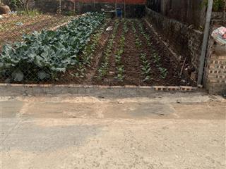 Phân lô ô tô tránh mặt tiền 4,5m, diện tích 65m2 bán đất đông tảo giá 2 tỷ có tl cho kh thiện chí