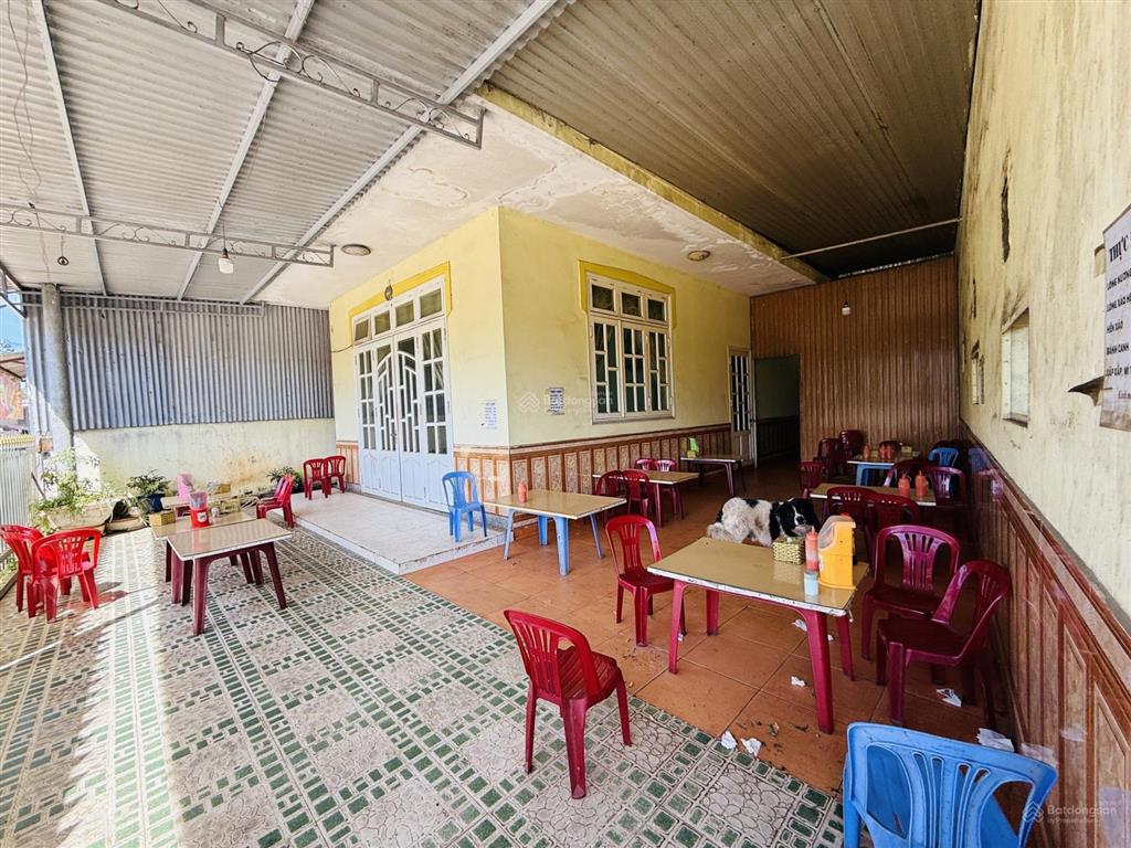 Hạ giá bán gấp nhà mặt tiền trại mát, phường 11, thành phố đà lạt 9 tỷ