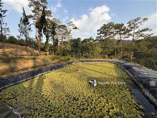 Bán đất 1700m2 giá 1,9tỷ đường ankoret , phường 7 thành phố đà lạt