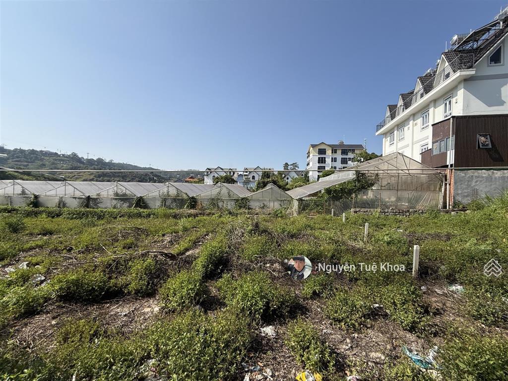 Bán đất xây dựng đường an bình, phường 3 đà lạt 429m 10,5ty