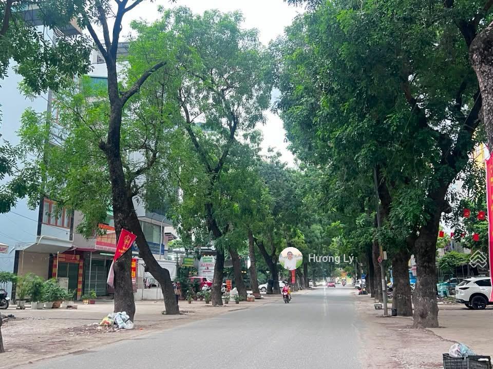 Siêu phẩm lk dv yên nghĩa 50m x 7 tầng, phân lô, vỉa hè, ô tô vào nhà, dòng tiền 30tr, giá 13,x tỷ