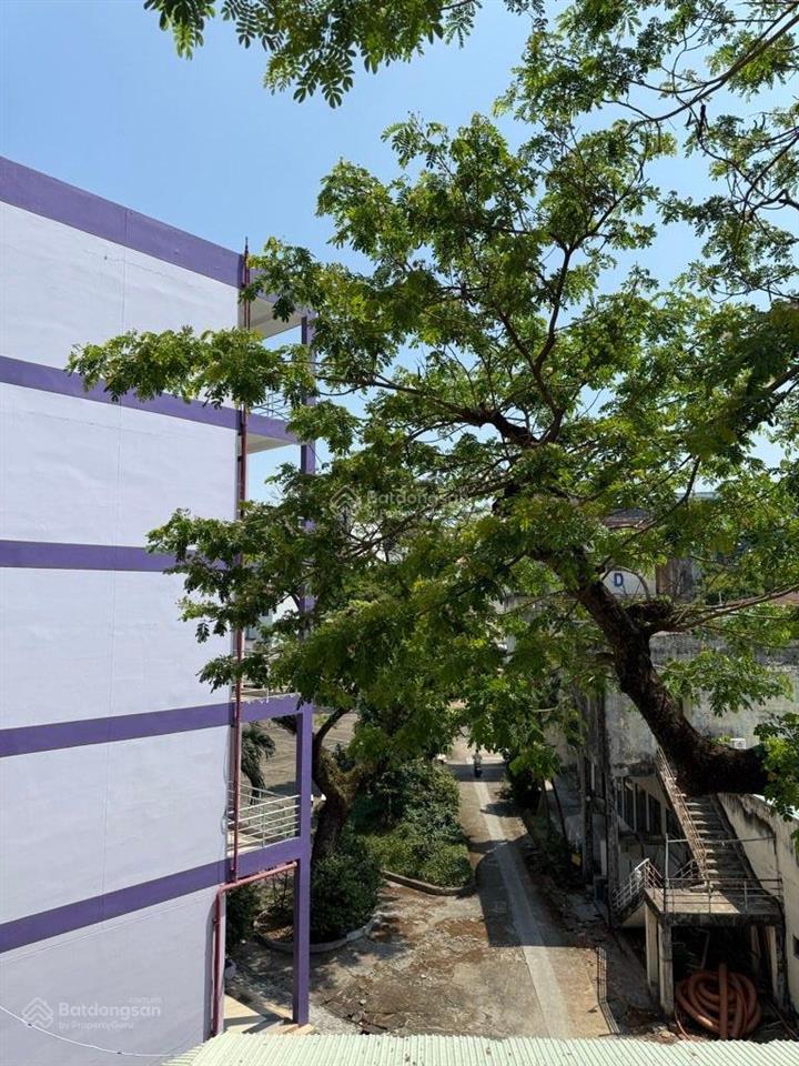 Bán nhà đường ngô quyền (14 x 6,5m)  xe hơi ngủ nhà quận 5  nhỉnh 8tỷ