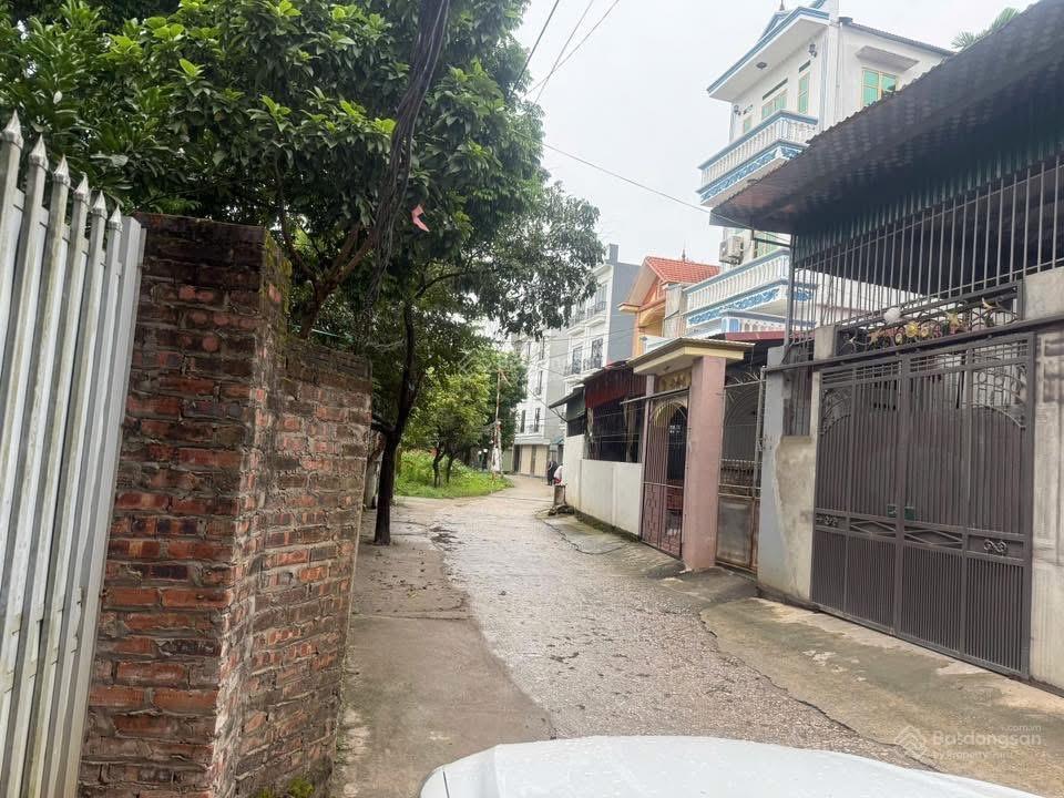 Đất đẹp giá rẻ phượng nghĩa phụng châu, phường chương mỹ, hà nội 65 triệu / m2, 76.6 m2 chính chủ