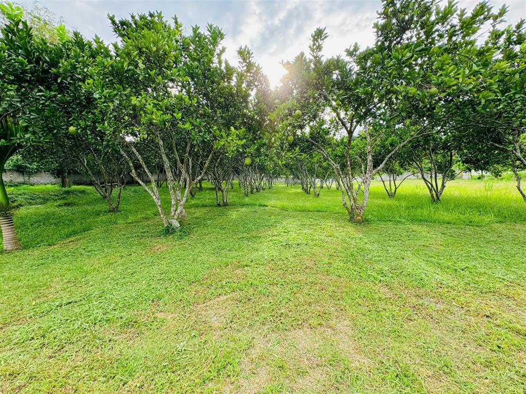 Gửi bán lô đất 99% là đất thổ cư, cách tthn chỉ 55km. tại kim bôihòa bình cũ.