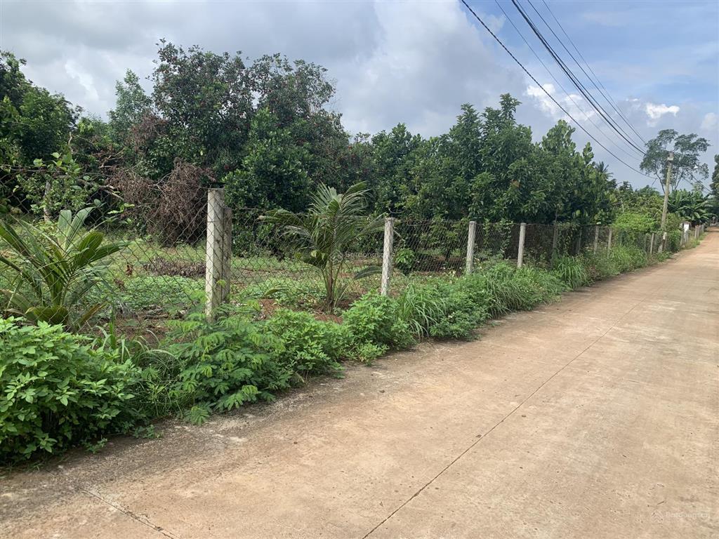 Bán đất lê a, bình lộc sát đường lớn hiện hữu