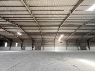 Cho thuê kho xưởng đẹp, giá tốt, gần cảng cát lái, gần cảng phú hữu, pccc, điện hạ trạm, hiếm có