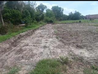 Chủ bán gấp đất thổ nhựa lớn hcm vào 200m, thông bàu trai, gần vin hậu nghĩa, gần kcn trần anh