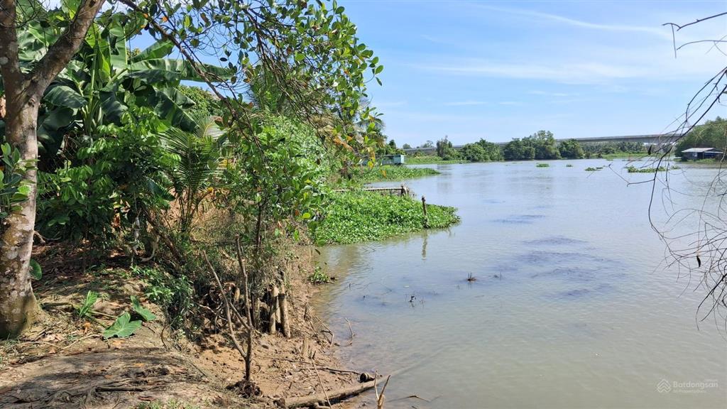 Bán đất mặt tiền sông sài gòn (mặt tiền sông ngang 150m mặt tiền đường ngang 200m), đường rộng 5m