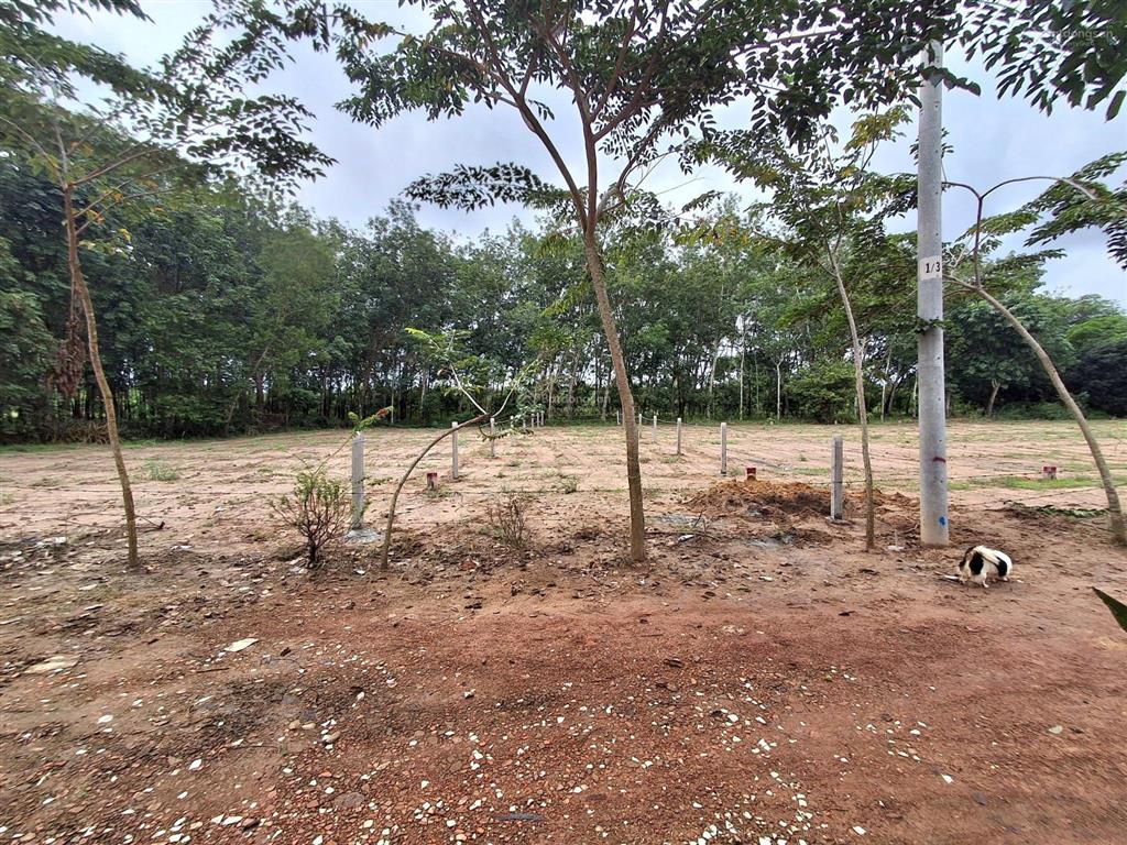 Bán lô đất nền giá 450tr, gần trường tiểu học minh thạnh 6*35m thổ cư 100m2, đường xe hơi