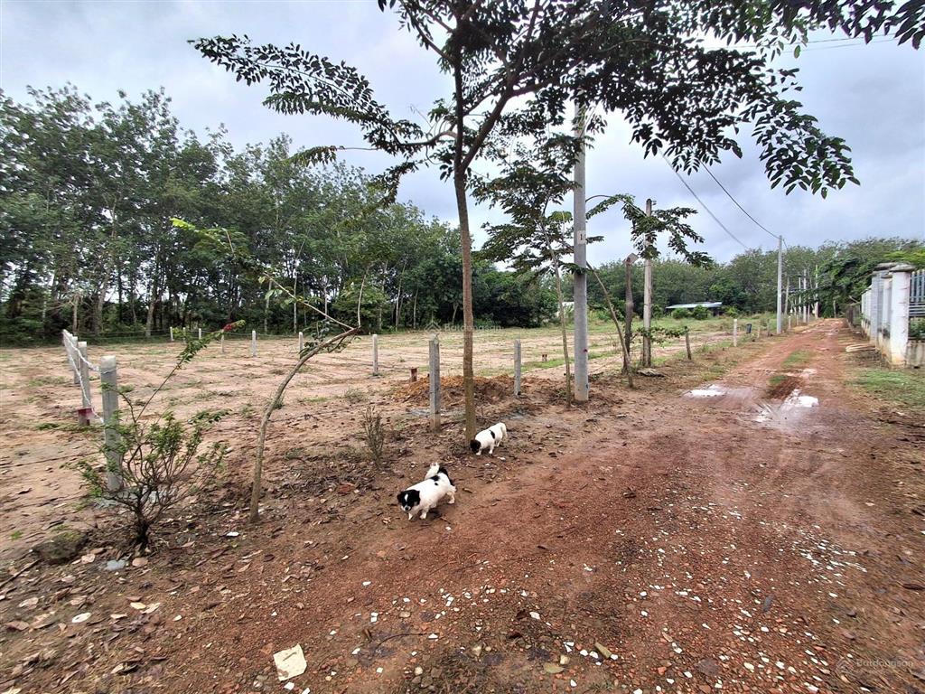 Bán lô đất nền giá 450tr, gần trường tiểu học minh thạnh 6*35m thổ cư 100m2, đường xe hơi