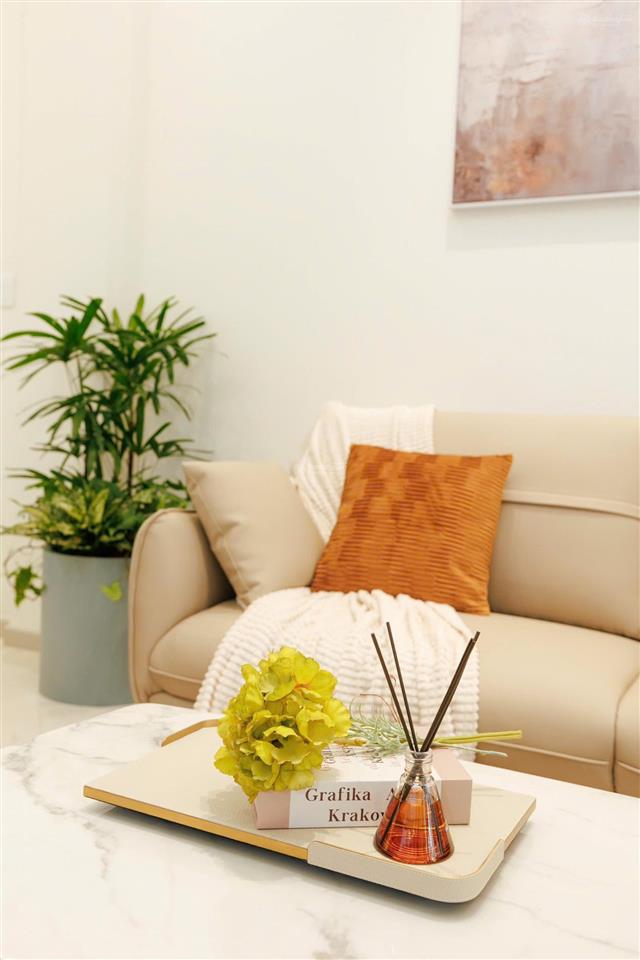Cho thuê nhà phố hoàn thiện cđt elite life giá rẻ bất ngờ 8.5tr. nhà 1 trệt 2 lầu nhà thô cđt đẹp