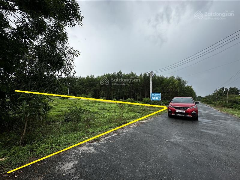 Bán đất lô góc 2.463m2 mặt tiền 40m mặt đường lý nam đế, tỉnh lâm đồng