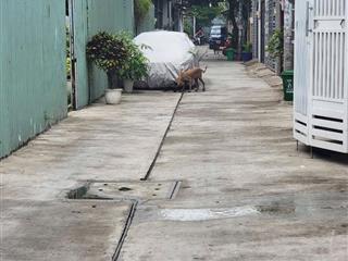 Đất trống hẻm xe hơi kế kcn tân bình  dt 4x23m, tiện ích đầy đủ, giá 6tỷ2 còn tl